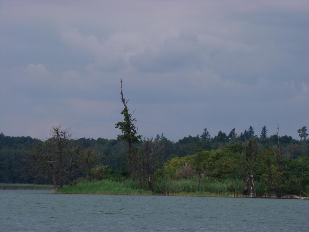 Mylin Villa Chrzypsko Wielkie Bagian luar foto